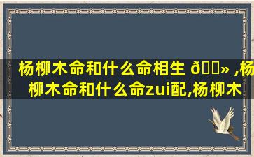 杨柳木命和什么命相生 🌻 ,杨柳木命和什么命zui
配,杨柳木命婚配详解 🐋 !